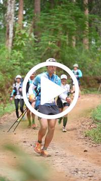 BIB:  <button type="button" onclick="openModal(26816881)" class="btn btn-primary btn-sm float-right" data-toggle="modal" data-target=".modal-high-quality">
                <i class="fa fa-download"></i> Download
                </button>